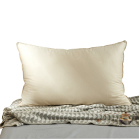 印象集板蓝根睡眠枕