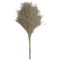 DAYUNHE SQ 竹子扫把笤帚扫帚 扫马路 大扫把 环卫扫把