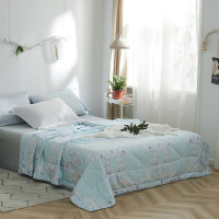 堂皇(Tevel) 倾听浪漫天丝夏被200*230cm（七包服务）