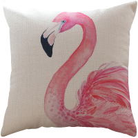 花花公子 抱枕靠垫高弹PP棉枕头 HBZDZ01 颜色随机 不支持零售