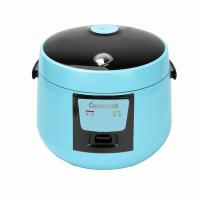 长虹(CHANGHONG) 西施电饭煲 CFB-X20H01 2L