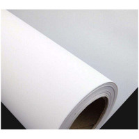 双安文化揭挂 双层PVC板写真布 6000*500mm