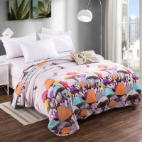 芳恩-英伦风范貂绒毯FN-HB8T006