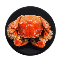 湖中醉大闸蟹礼券 公4.5两 母3.0两 4对共8只