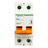施耐德(Schneider)型号MGNEA9D263 隔离开关 2P 63A