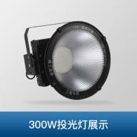 TCL投光灯300W防水投射灯J进口欧司朗芯片,白光