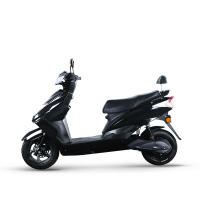 先锋 电动车豪战加长版电瓶车成人男女代步车电动轻便摩托车