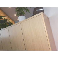 定制公寓宿舍储物柜 欧瑞源3320