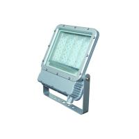 华荣防爆 LED投光灯具 RLEF319-XL200 -TY