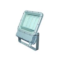 华荣 LED投光灯具 RLEFL319-XL150 -TY