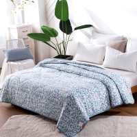 可欣家纺 拉斐尔水洗被-雅蓝 四季靓被 夏季纤维被 水洗棉面料 200*230cm