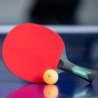 安格耐特F2312乒乓球拍(正红反黑)