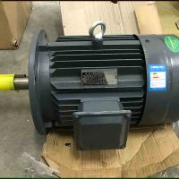AT 高效率三相异步电动机 YE2-132S-4