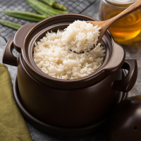 嘉炖·新陶养生炖煲JDDB15