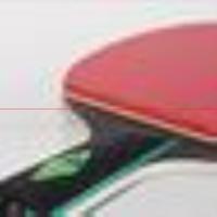 得力安格耐特F2326乒乓球拍(正红反黑)