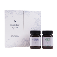 澳美蜜Aussie Bee黑莓蜂蜜+麦利蜂蜜 澳大利亚原装进口 500g*2瓶盒装