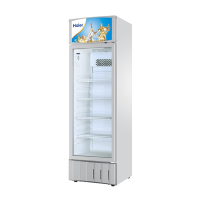 海尔(Haier) SC-300 300升冷柜冷单门保鲜冰柜