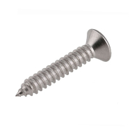 AT 自攻丝 304不锈钢沉头自攻螺丝钉 M5*20mm,十字,大半圆头 600枚/盒 单位;盒 ZSZ-1 -TY