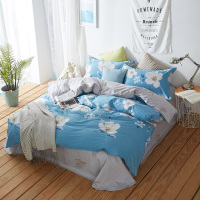 恒源祥 镜花水月 四件套 TBK2018 恒源祥 床上用品 单套装