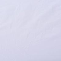 东龙浩宇 可定制枕套 枕套白色90*70宁选