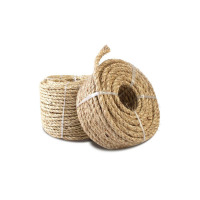 DELSEY白棕绳40公斤 单位:捆