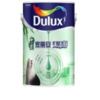 AT 竹炭净味乳胶漆 5L