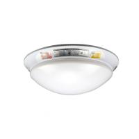 赛格達 SG-ZFZD-E3W-X 消防应急吸顶灯J(个)BTFY 应急灯 吸顶灯