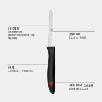 双立人 TWIN Point 蔬果刀 ZW-K13