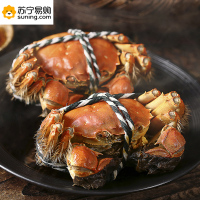 金世尊 大闸蟹888型