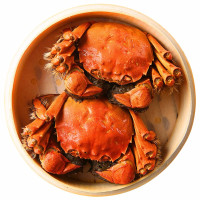 阳澄御宴 大闸蟹999型