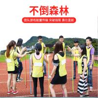 不倒森林 游戏道具户外素质拓展训练团建趣味运动会道具 团队游戏 大号10根杆+收纳袋一个