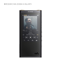 索尼(SONY) NW-ZX300A Hi-Res MP3 单位:支<1支装>黑 高解析度无损音乐播放器