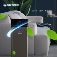 西屋(WESTINGHOUSE)空气净化器AW-6600T