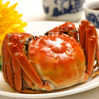 邂逅阳澄 1699 礼盒 大闸蟹