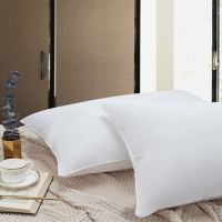 红豆 枕芯(单个)