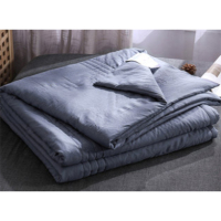 红豆 幽兰典雅空调被 ZM-20333