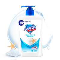 舒肤佳(Safeguard ) 洗手液维他命E 450ml