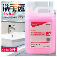 清爽花香洗手乳露5415563 清爽花香洗手液花香洗手液5L