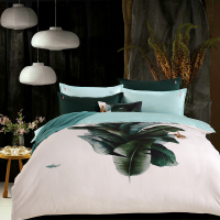 鲨鱼丛林之旅-四件套SK-SJTB1