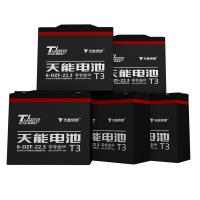 天能真黑金60V20AH适用J电动车铅酸电瓶