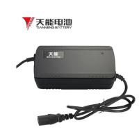 天能48v2A锂电池充电器J适用48V锂电池充电器