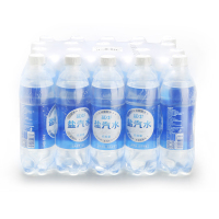 延中盐汽水600ml*20瓶 整箱装