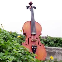 浩酷(HOCO) 民间艺人手工小提琴专业级实木练习考级小提琴初学者儿童成人乐器