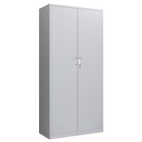 二门凭证文件柜铁皮柜资料柜对开铁门多层材料柜带锁财务档案柜yc