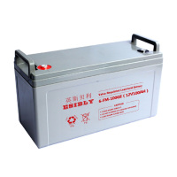 英斯贝利(ESIBLY) 蓄电池 6-FM-100GE(12V100AH)J(个) 12伏 100安培 蓄电池