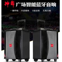 【苏宁自营】万利达 s12 拉杆音响 配2副话筒（台）