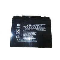 志成冠军 NP38-12 充电电池 12V/38AH(计价单位:个)