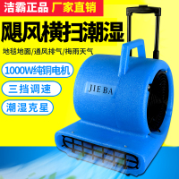 BF534吹干机(适用于酒店、工厂、仓库及各类潮湿场所)