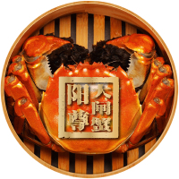 阳尊 阳澄湖大闸蟹 498型 礼盒