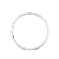 飞利浦(Philips) T5 环形 LED节能灯管 32W 6500K 白光日光色 10根 (单位：件)